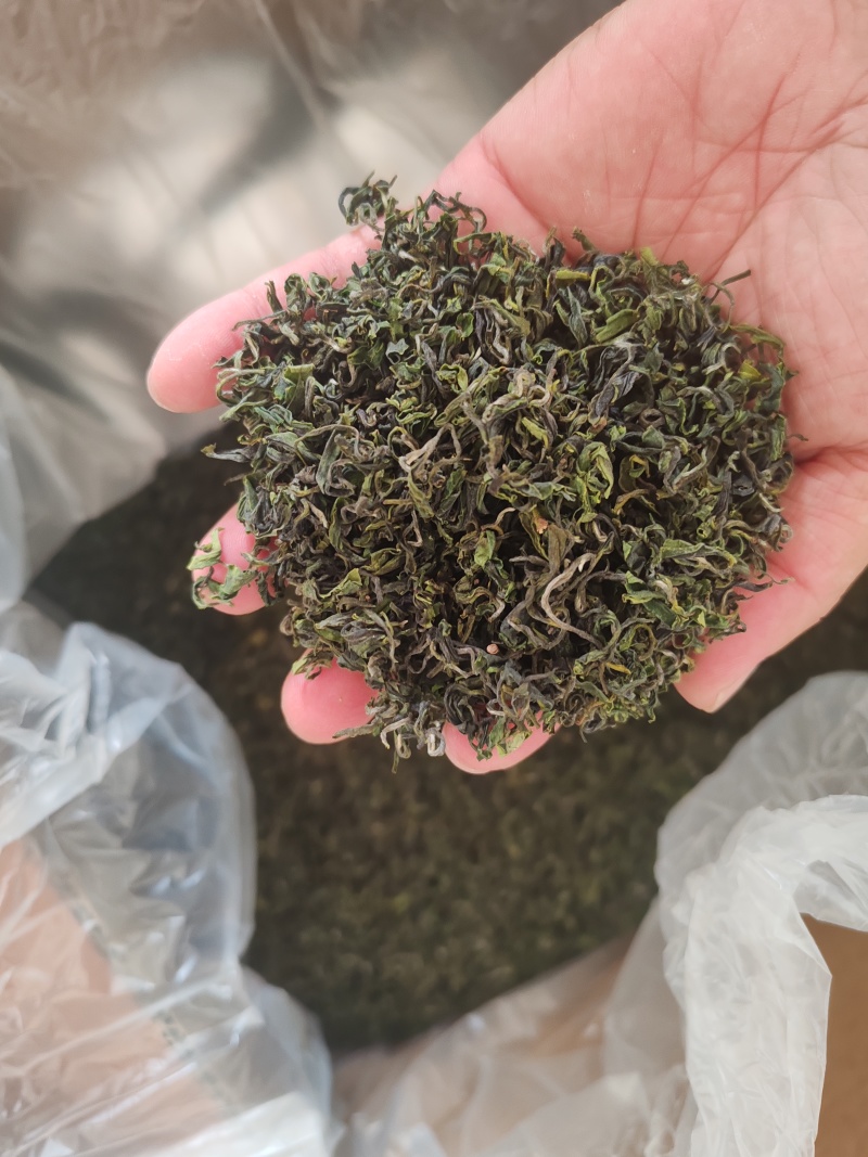 日照绿茶板栗香，火香味重