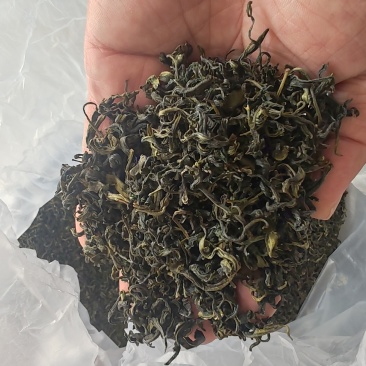 超级便宜日照绿茶板栗香