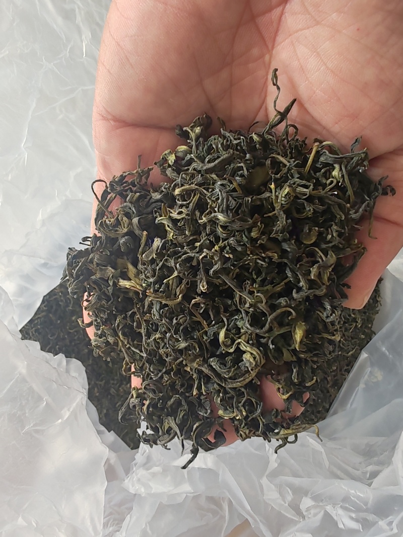 超级便宜日照绿茶板栗香