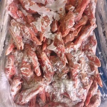 11个鸭头