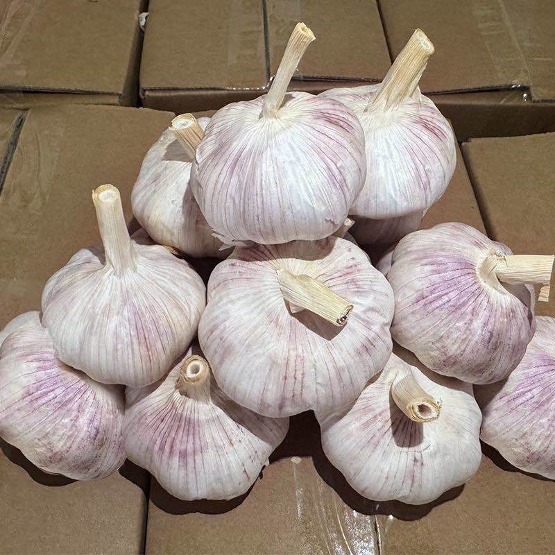 金乡大蒜-大蒜，电商一件代发，集采，代办
