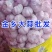 金乡大蒜-大蒜，电商一件代发，集采，代办