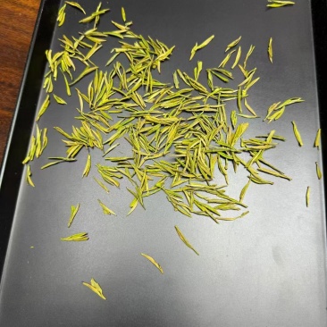 安吉白茶
