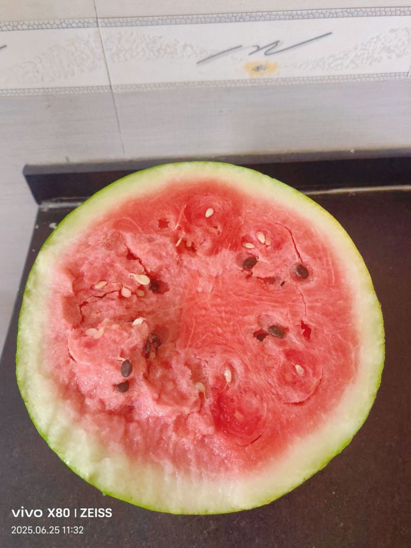 温县黄河滩天龙西瓜