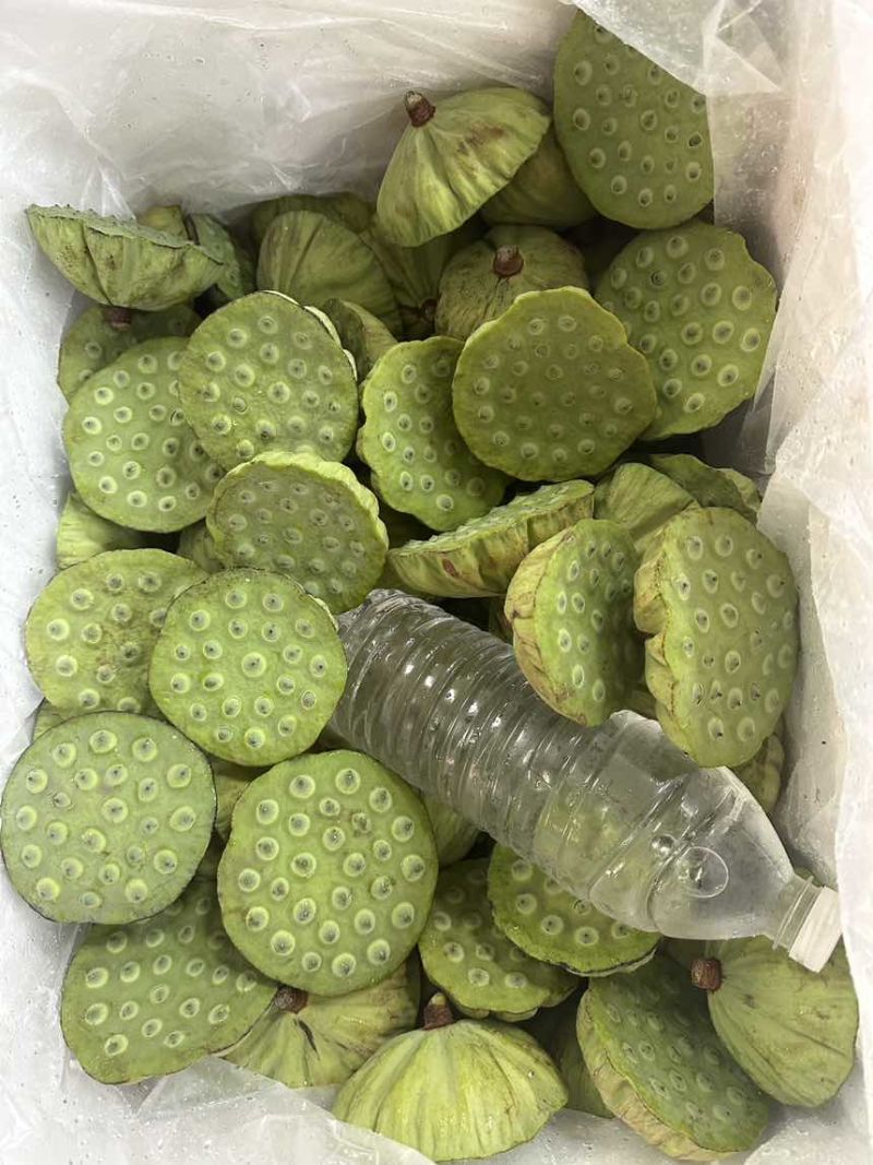 莲蓬