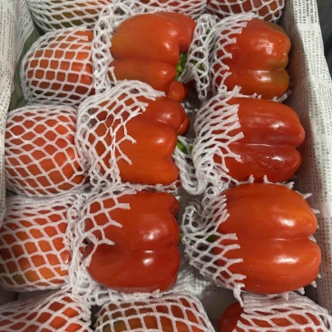 红椒