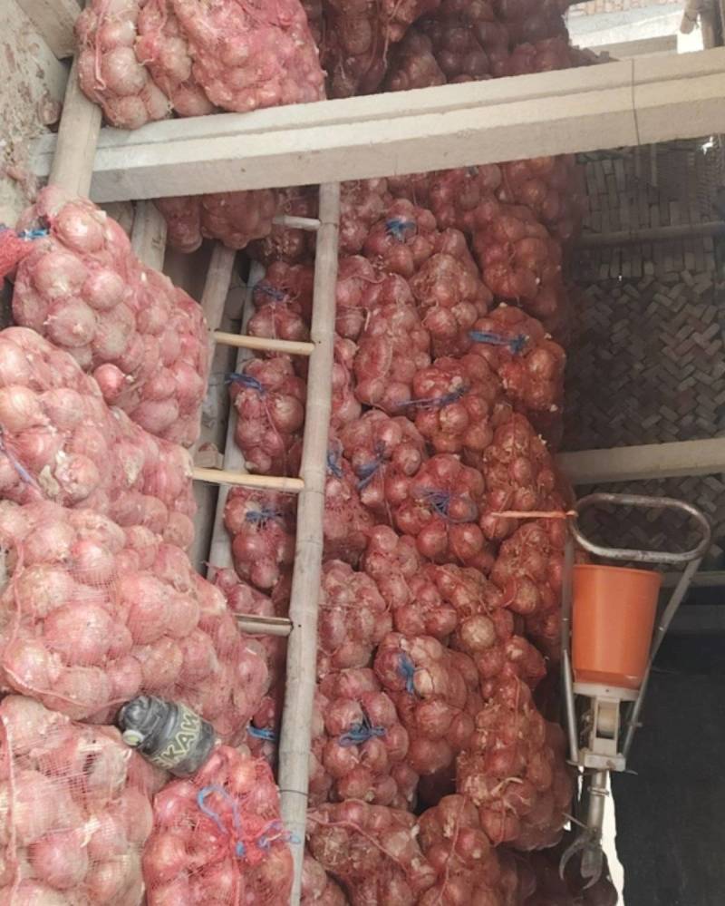 洋葱