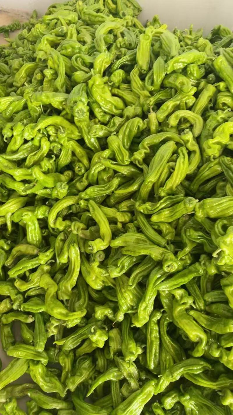 鲜辣椒，螺丝椒