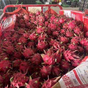 大量走货，低价低价！