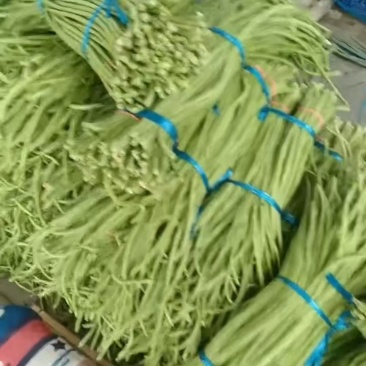 豆角