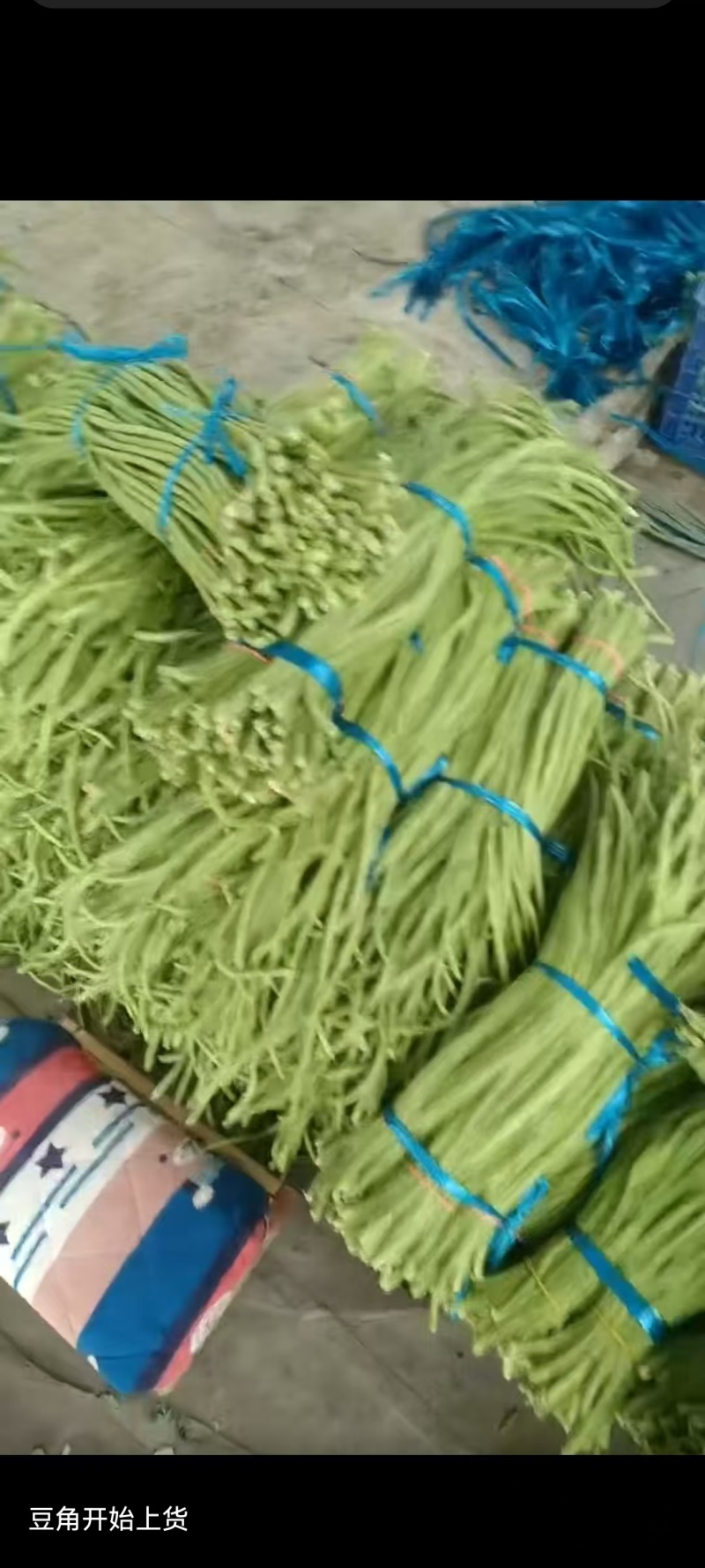 豆角