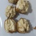 新疆核桃