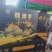贵州六马蜂糖李