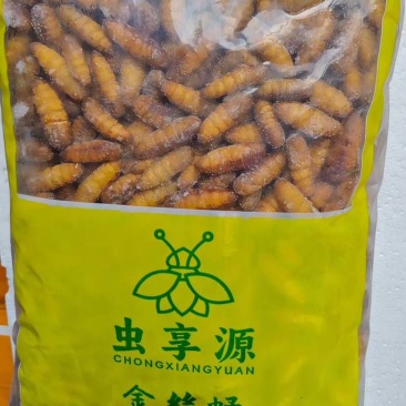 蚕蛹***********