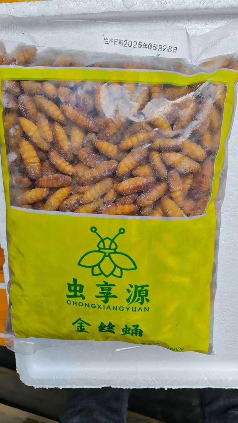 蚕蛹***********