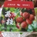 桂味糯米糍仙进奉等