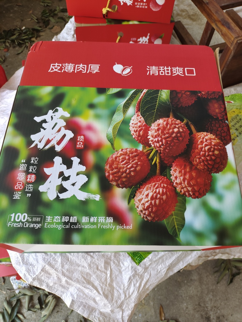 桂味糯米糍仙进奉等
