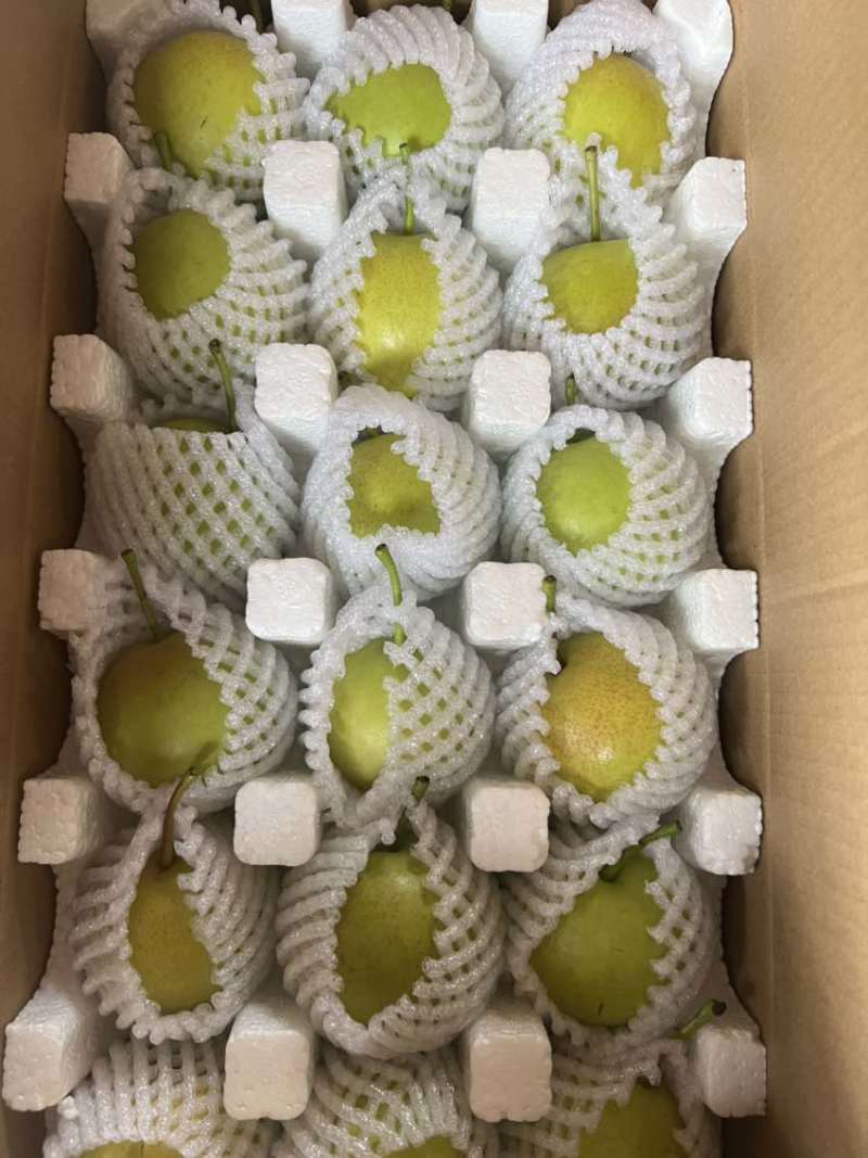 云南高原蜂蜜梨