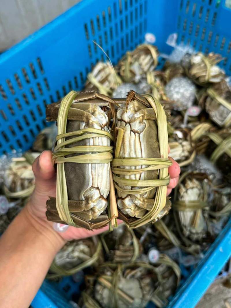 江苏大闸蟹规格齐全基地直销保质保量包售后