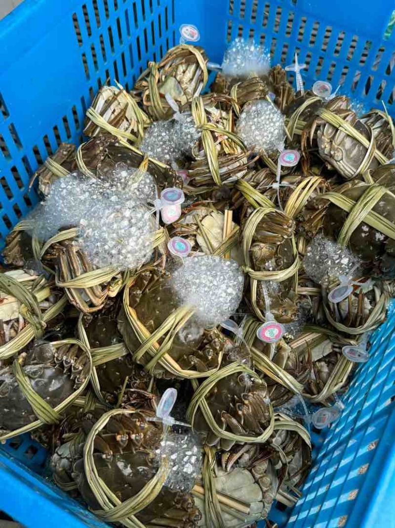 江苏大闸蟹规格齐全基地直销保质保量包售后