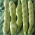 地产大量油豆角
