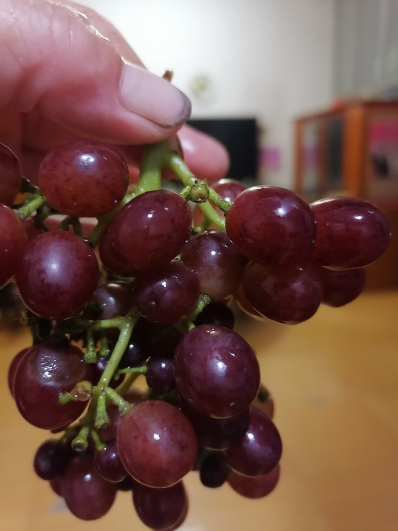 蓝宝石葡萄