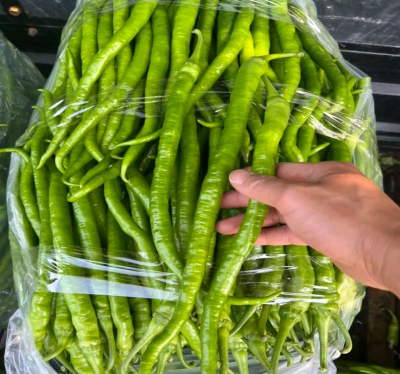 二荆条辣椒