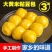 东北粘豆包纯手工大黄米粘豆包白江米粘豆包支持代发支持贴牌源头