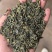 绿茶