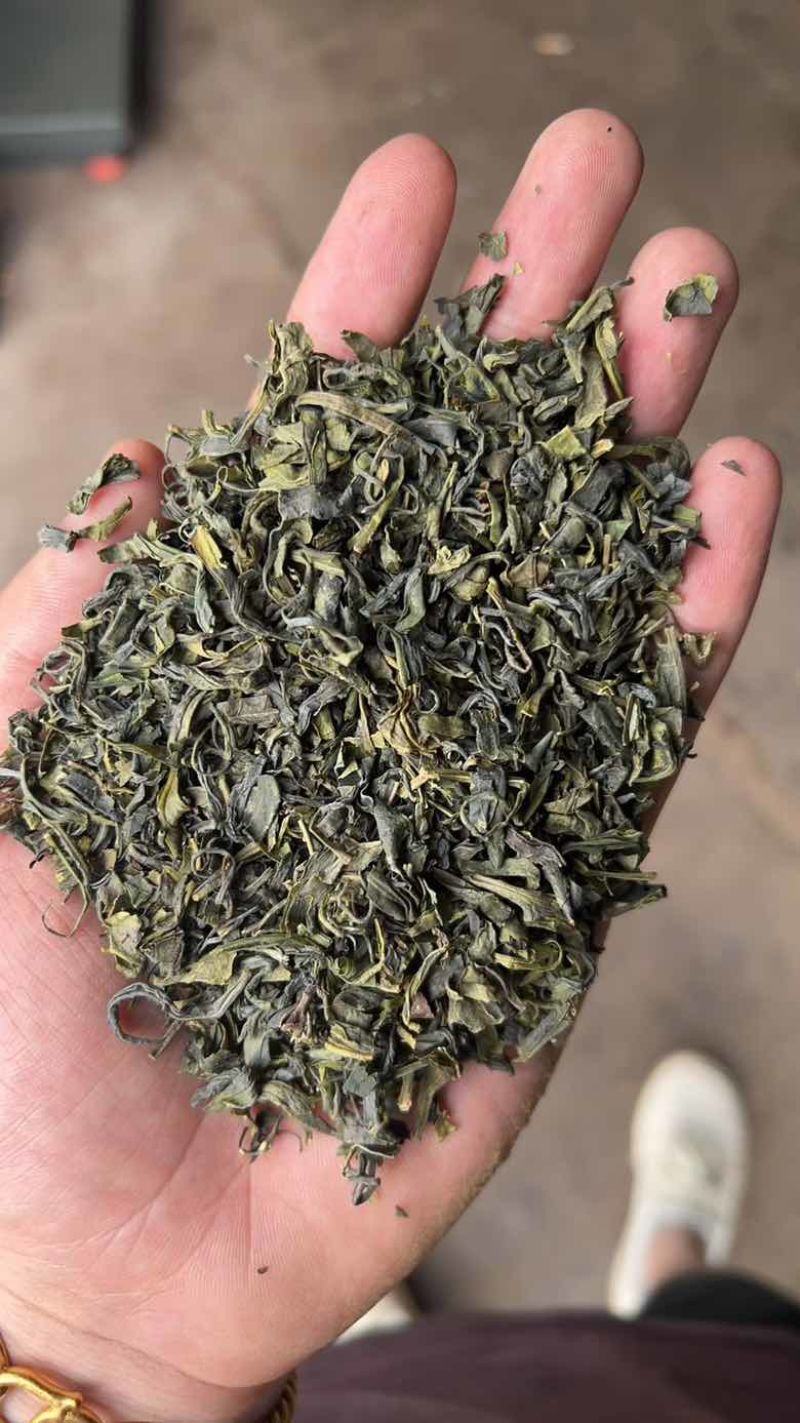 绿茶