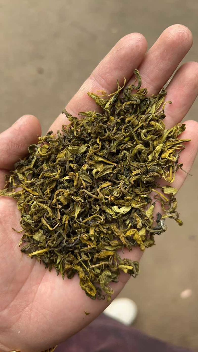 绿茶