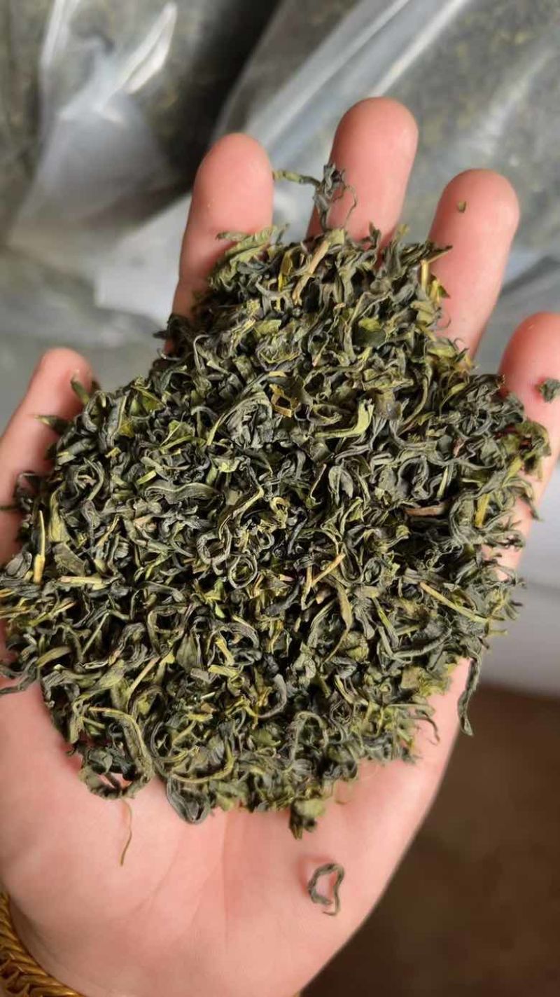 绿茶