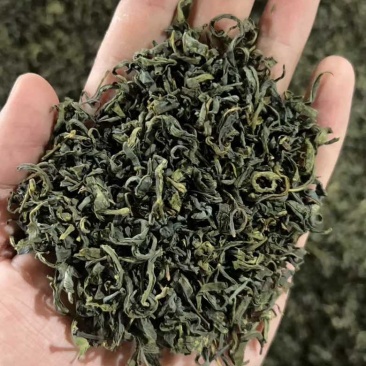 绿茶