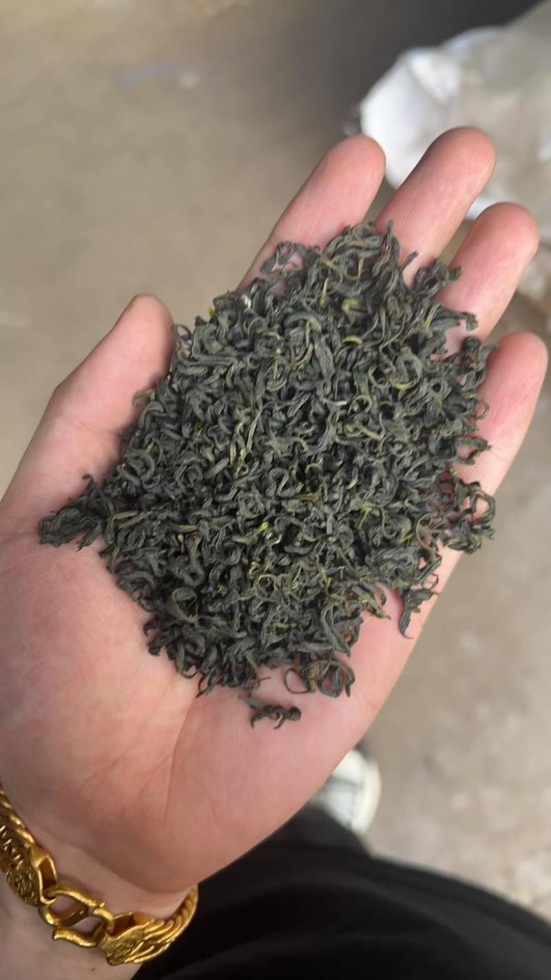 绿茶