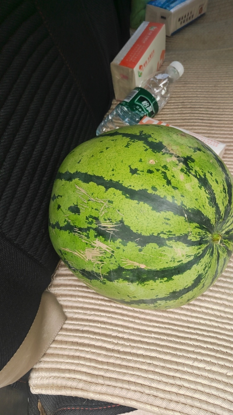 头茬露天美都西瓜