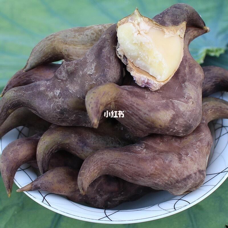 菱角|||菱角儿时味道·洪湖老菱角又名“水中花