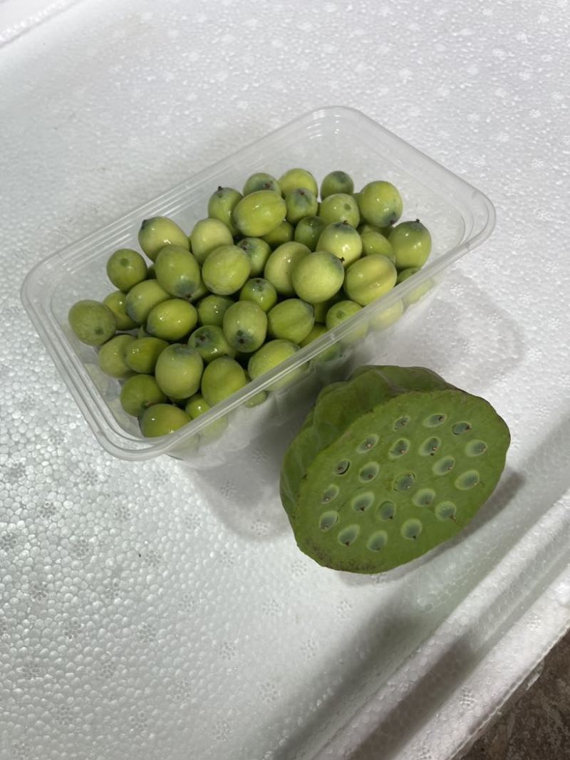 水果莲蓬4/7成熟