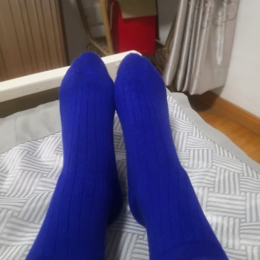 袜子超弹超柔纯色四季款不变形不起球不掉色