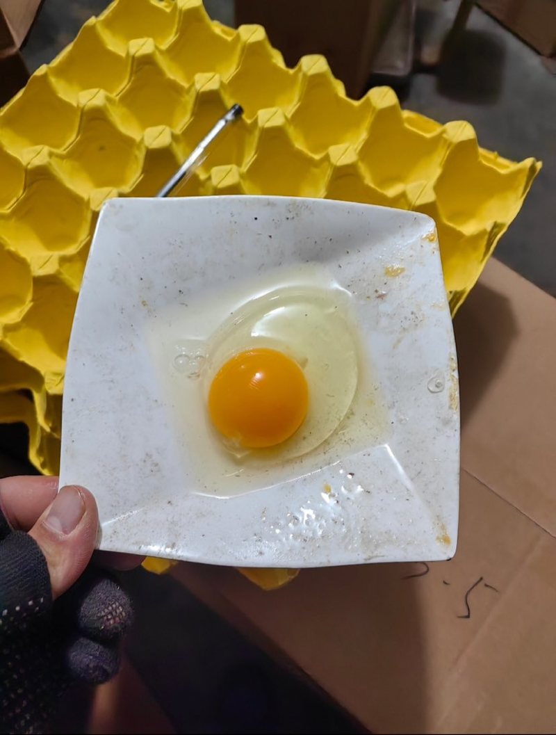 精品土鸡蛋