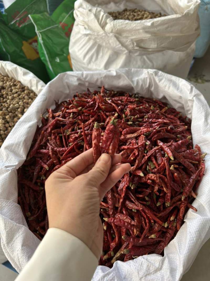 印度魔鬼辣椒S17巨辣爆辣干辣椒
