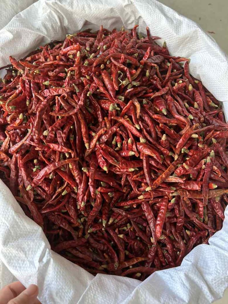 印度魔鬼辣椒S17巨辣爆辣干辣椒