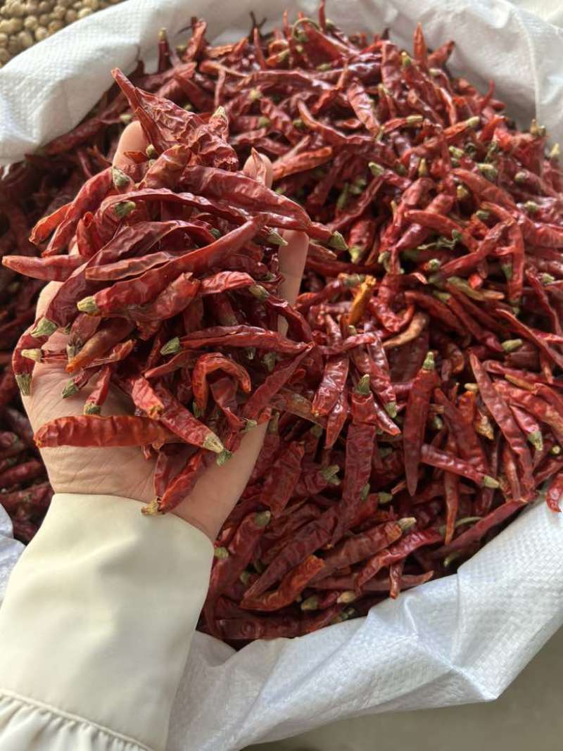 印度魔鬼辣椒S17巨辣爆辣干辣椒