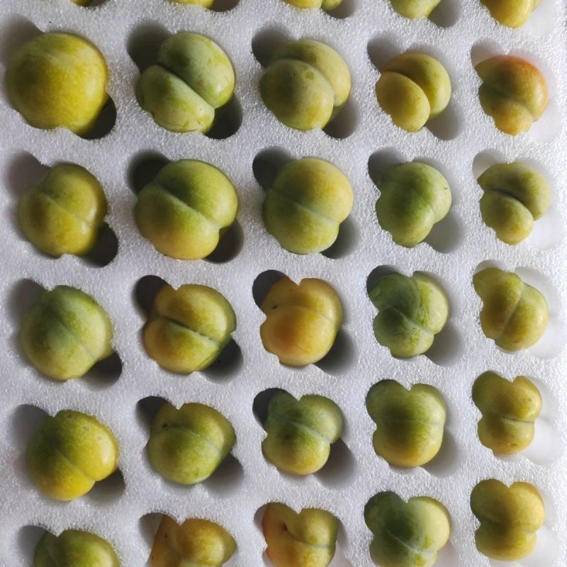 贵州蜂糖李上市热卖中需要的赶快联系