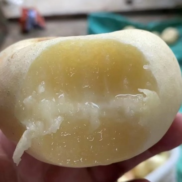山东蒙阴蜜桃