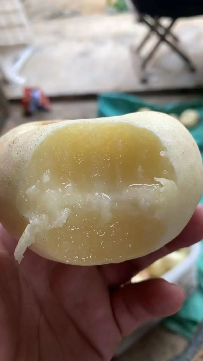 山东蒙阴蜜桃