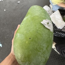 大青芒越南进口一级二级