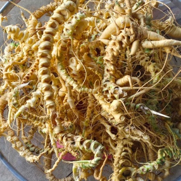 中药材