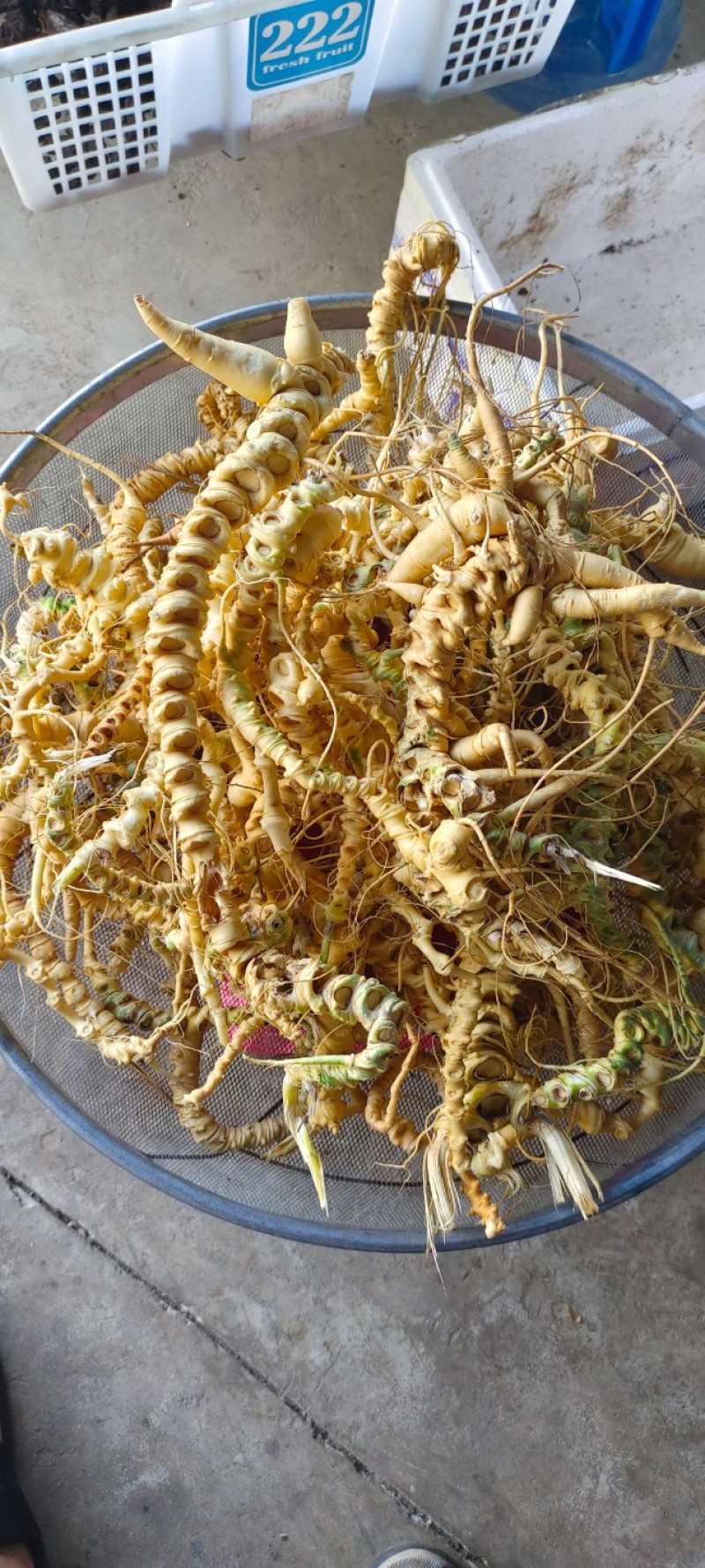 中药材