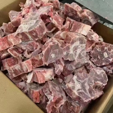多肉羊蝎子