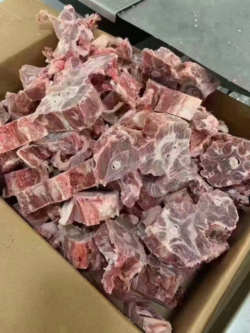 多肉羊蝎子